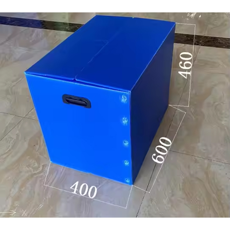 Velcro conclusione PP Corrugated Plastic PRAECLUSIO Box cum manu foramine