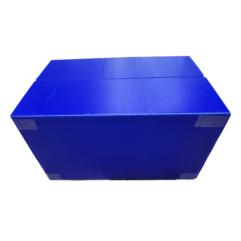 Velcro conclusione PP Corrugated Plastic PRAECLUSIO Box cum manu foramine