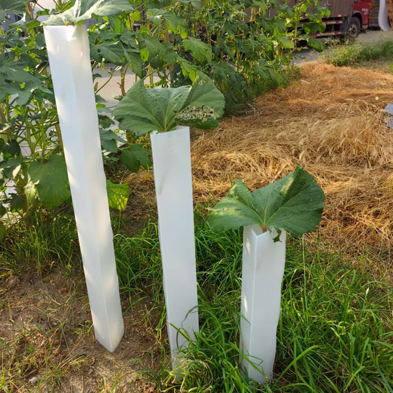 Anti Bite Corrugated Plastic virgultum lignum tutelae tube