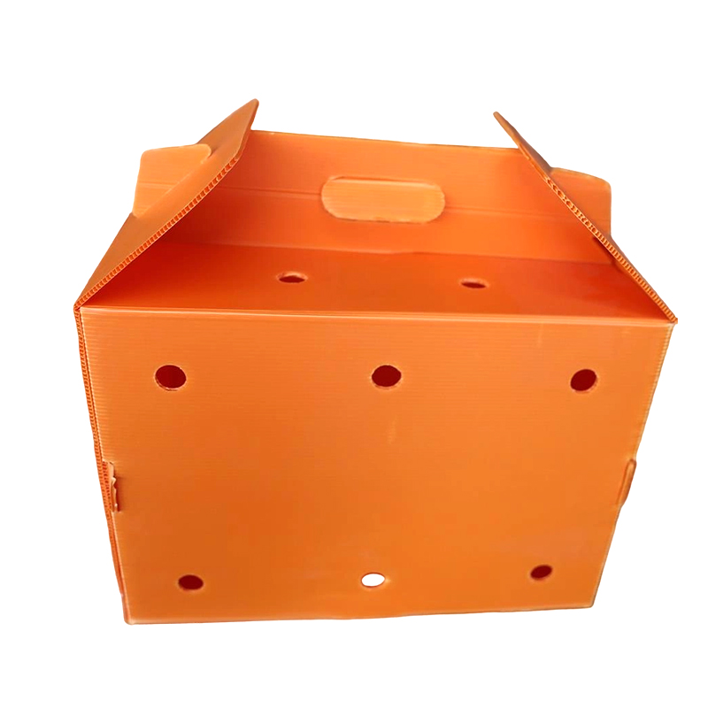 Multi Aeris Corrugated Plastic Pet Carrier, Collapsible