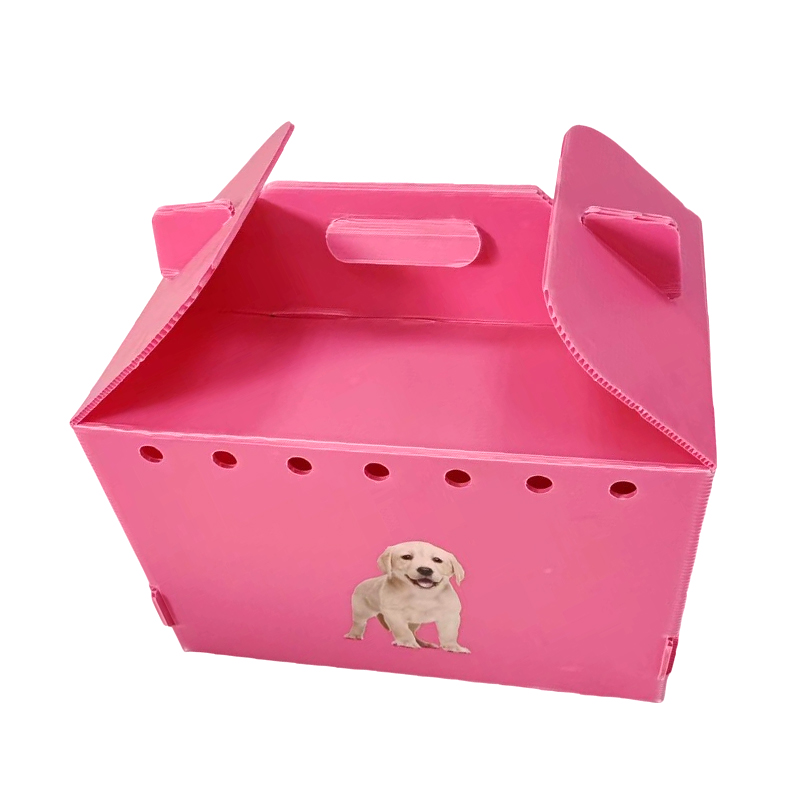 Multi Aeris Corrugated Plastic Pet Carrier, Collapsible