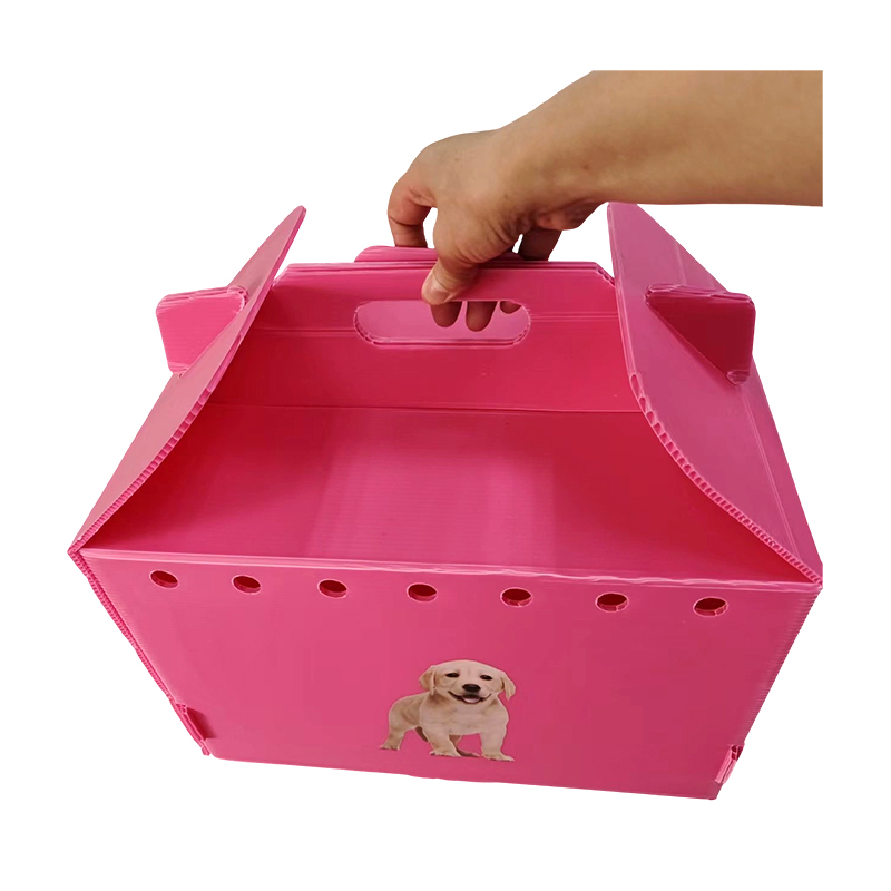 Multi Aeris Corrugated Plastic Pet Carrier, Collapsible