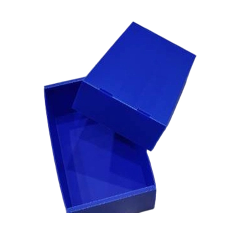 Pulvis renitens Foldable Corrugated plastic Top ac imo Cover Box