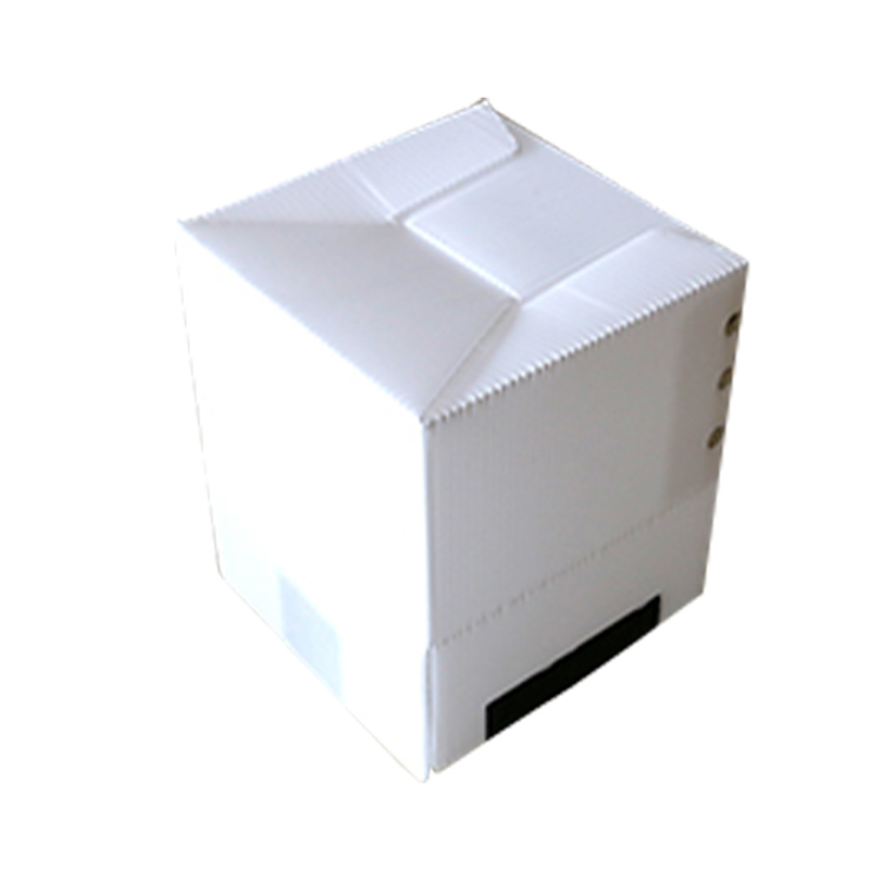 Quadratus recyclable PP Corrugated cavum Sheet Box cum Velcro Fastener