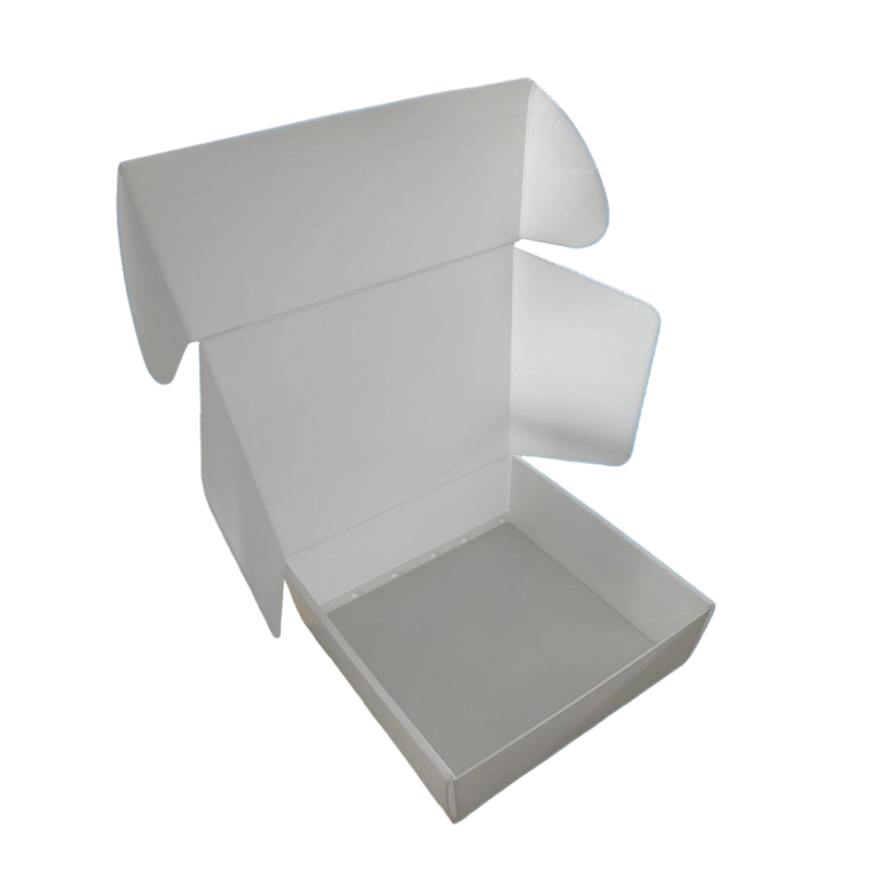 Fortis Anti-humorem Corrugated PP Plastic Airplane Mailer Box