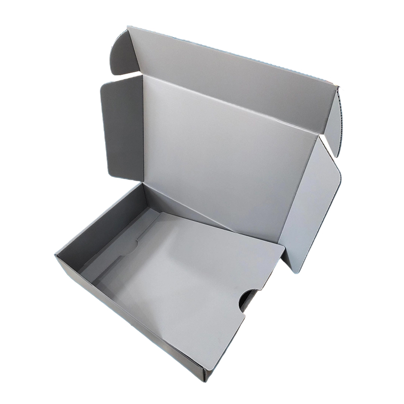Fortis Anti-humorem Corrugated PP Plastic Airplane Mailer Box