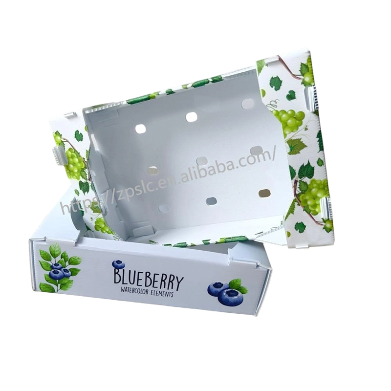 Foldable PP Corrugated Plastic Turnover Box cum evacuatione perforata