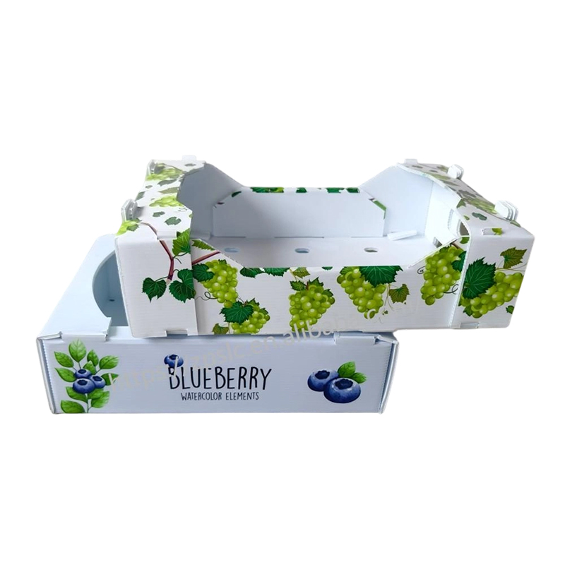 Foldable PP Corrugated Plastic Turnover Box cum evacuatione perforata
