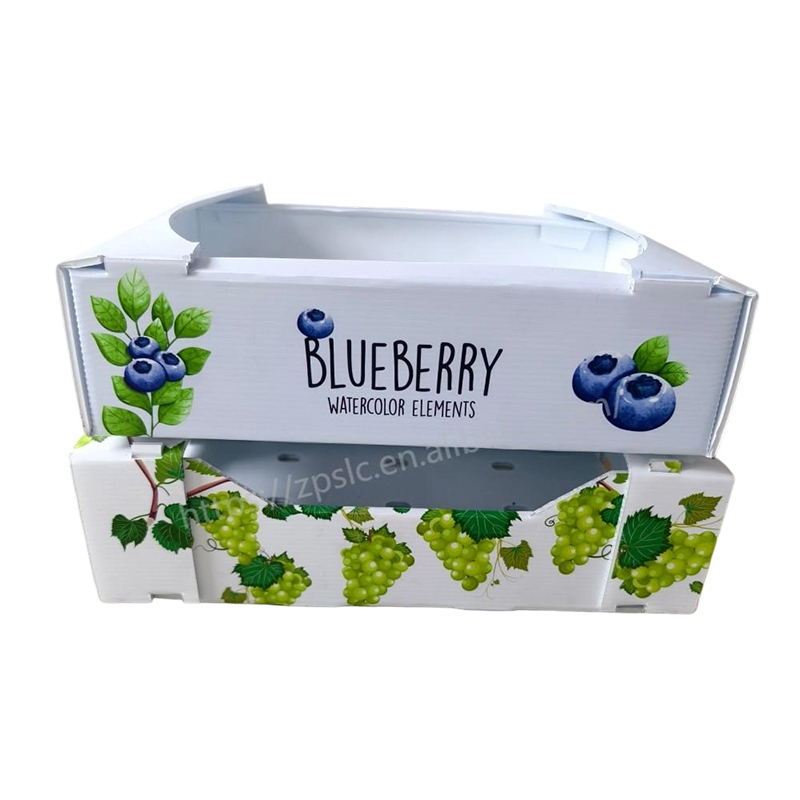 Foldable PP Corrugated Plastic Turnover Box cum evacuatione perforata