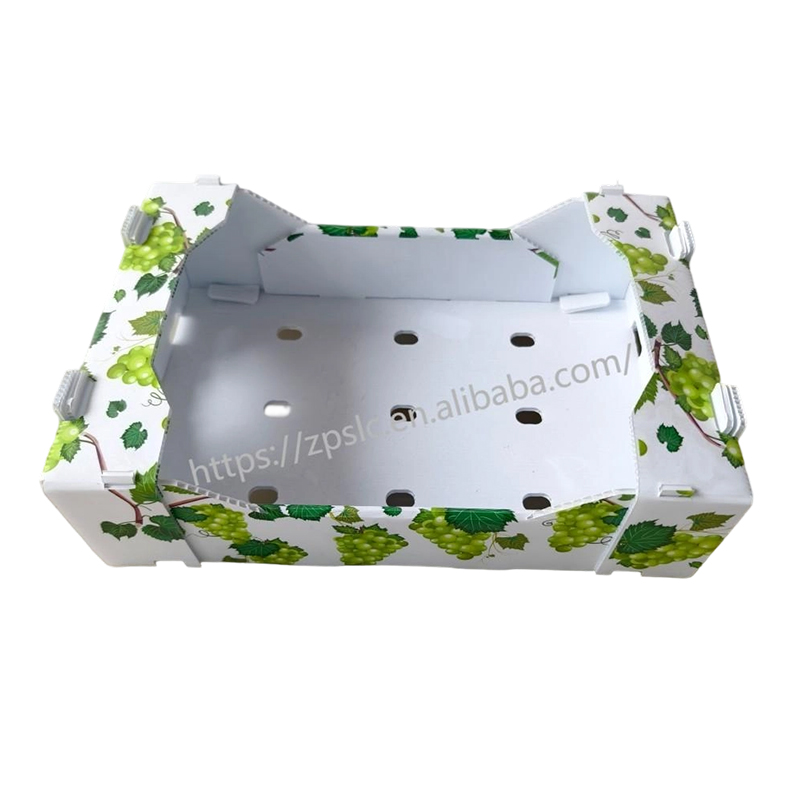Foldable PP Corrugated Plastic Turnover Box cum evacuatione perforata