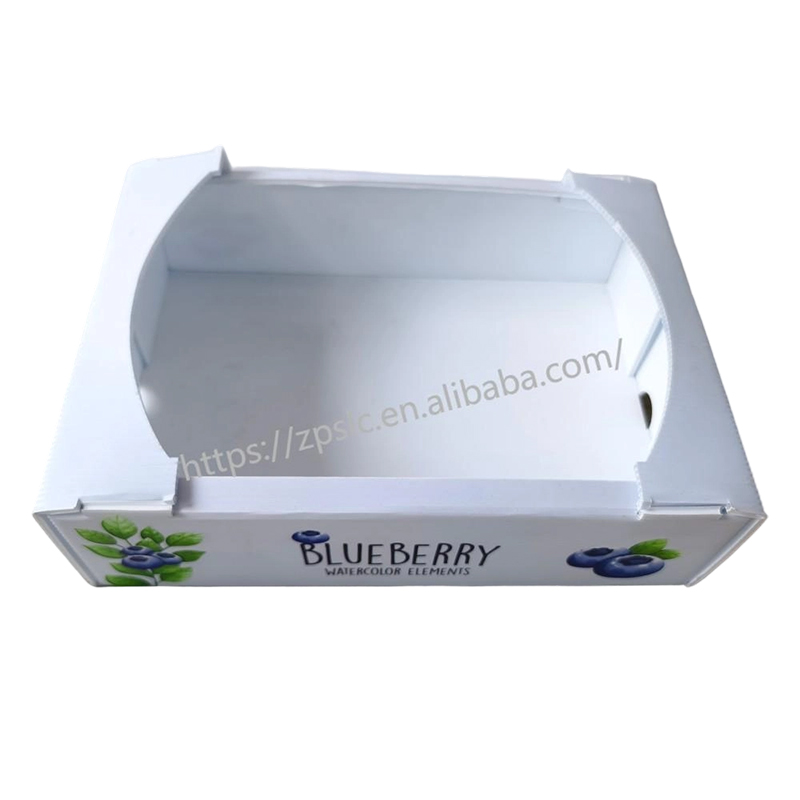 Foldable PP Corrugated Plastic Turnover Box cum evacuatione perforata