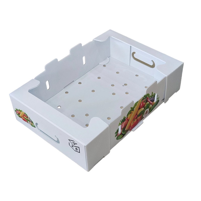 Foldable PP Corrugated Plastic Turnover Box cum evacuatione perforata