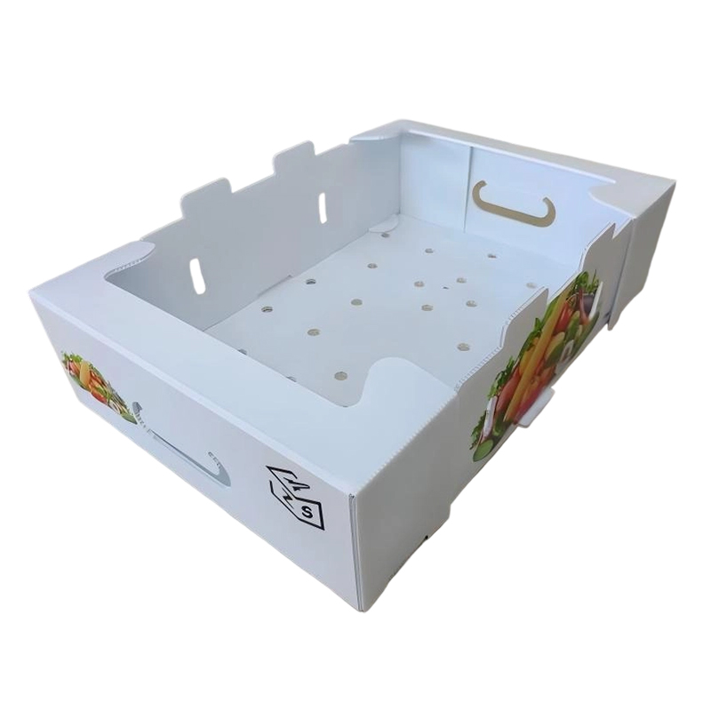 Foldable PP Corrugated Plastic Turnover Box cum evacuatione perforata