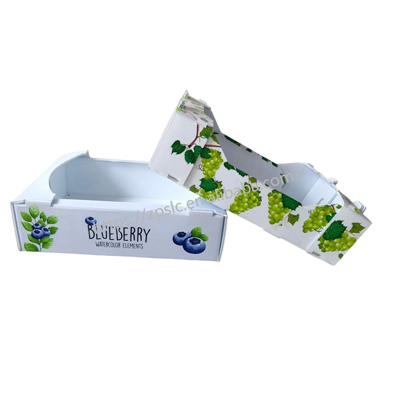 Foldable PP Corrugated Plastic Turnover Box cum evacuatione perforata