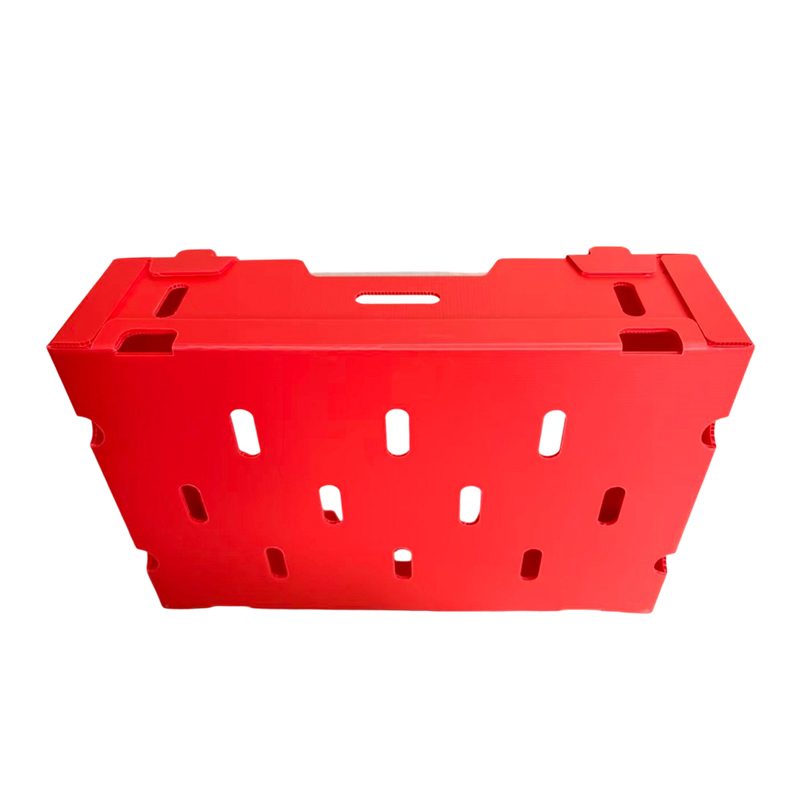 Foldable Typis PP Corrugated Box pro Vegetabili & Fructo