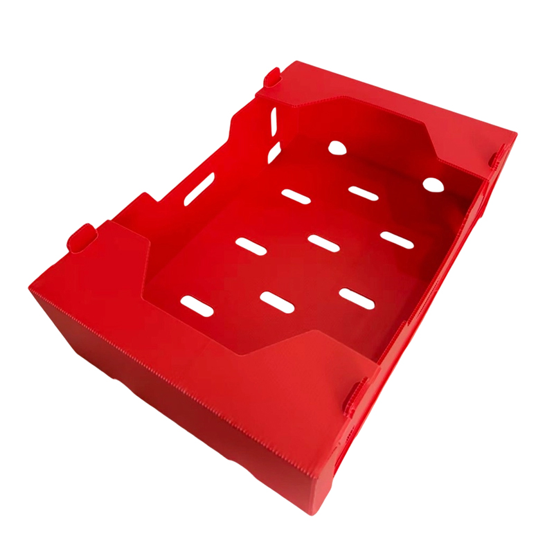Foldable Typis PP Corrugated Box pro Vegetabili & Fructo