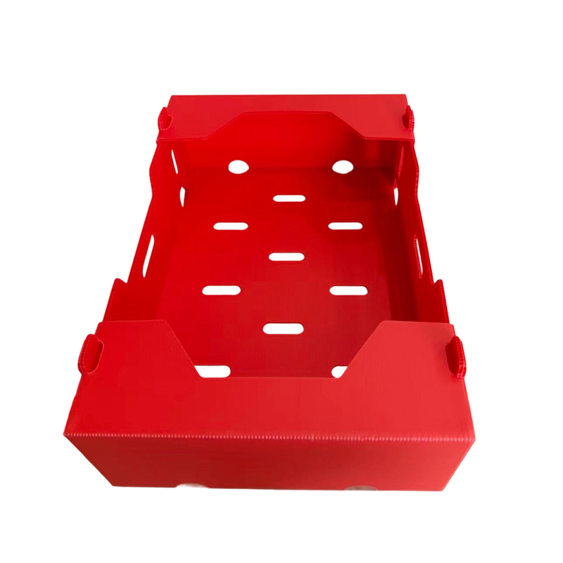Foldable Typis PP Corrugated Box pro Vegetabili & Fructo