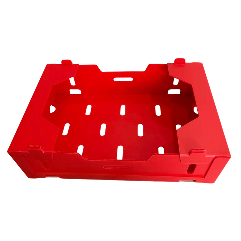 Foldable Typis PP Corrugated Box pro Vegetabili & Fructo