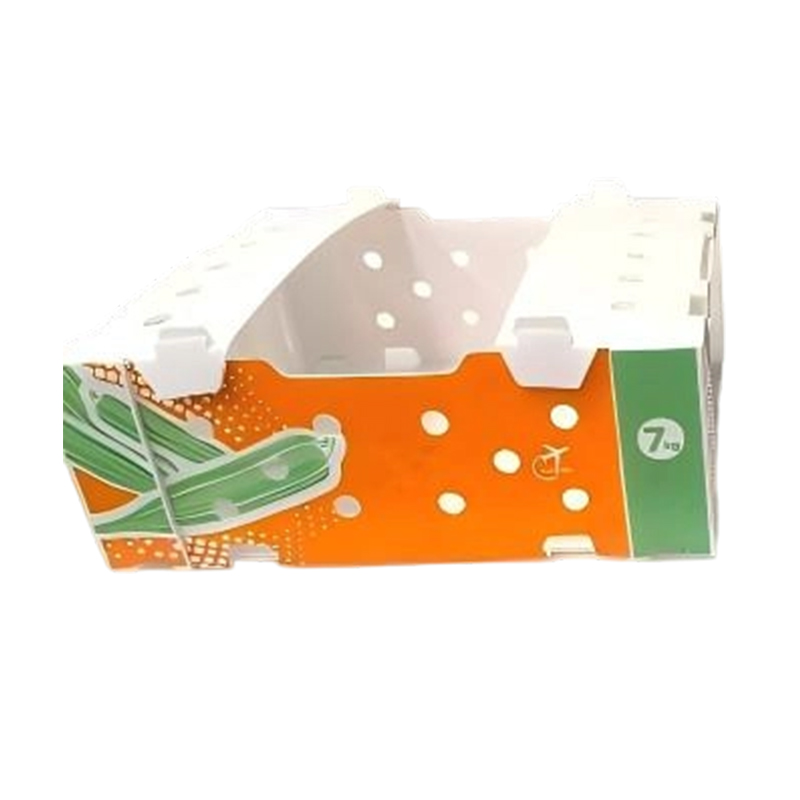 Foldable Typis PP Corrugated Box pro Vegetabili & Fructo