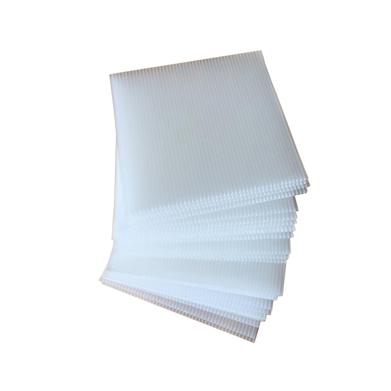 Gravis Officium gerunt obsistens Color PP cavum Sheet