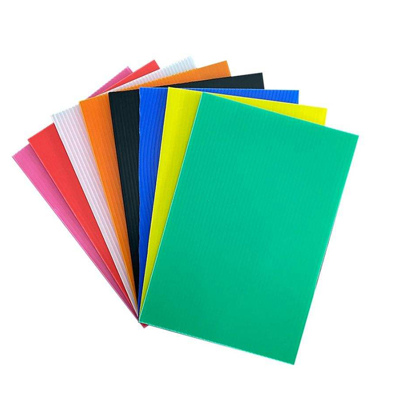 Humor Probatur Labi Repugnans PP Coroplast Sheet