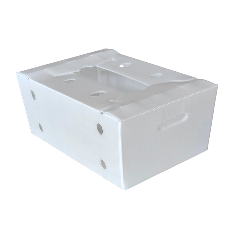Open Top Stackable Plastic Corrugated Fructus sarcina Box