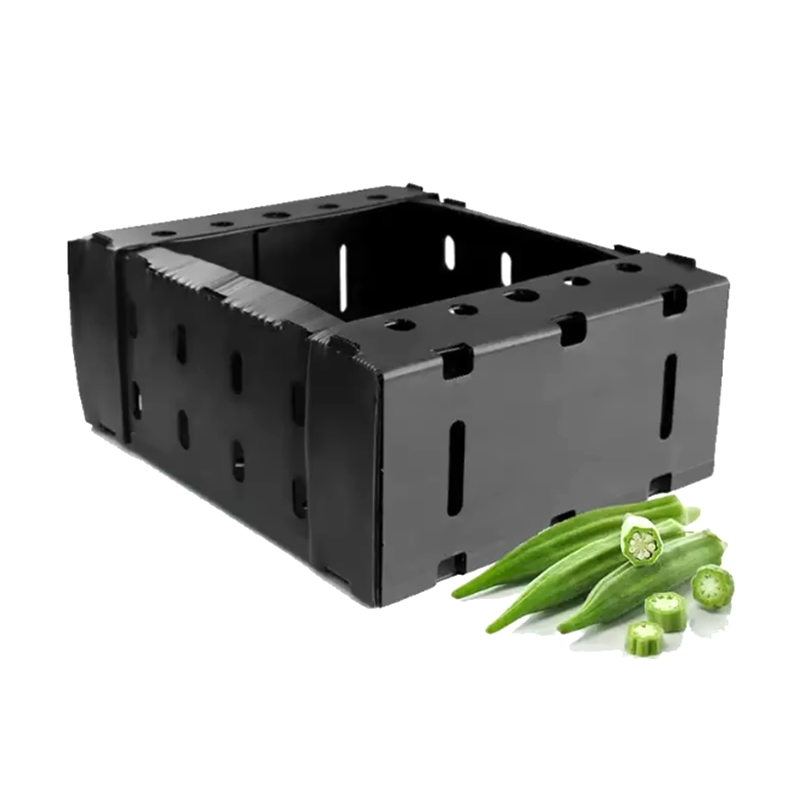 Open Top Stackable Plastic Corrugated Fructus sarcina Box