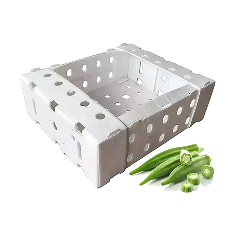 Open Top Stackable Plastic Corrugated Fructus sarcina Box
