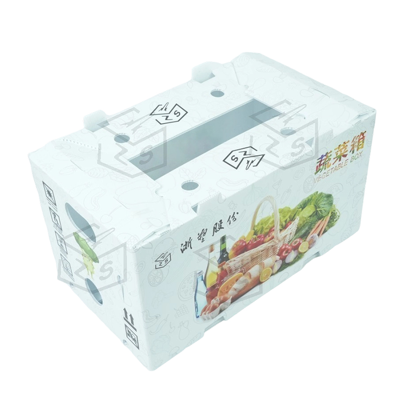 Reusable IMPERVIUS PP Corflute Fructus Box