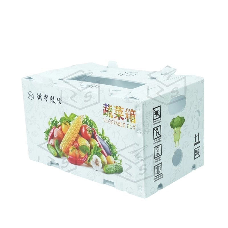 Reusable IMPERVIUS PP Corflute Fructus Box