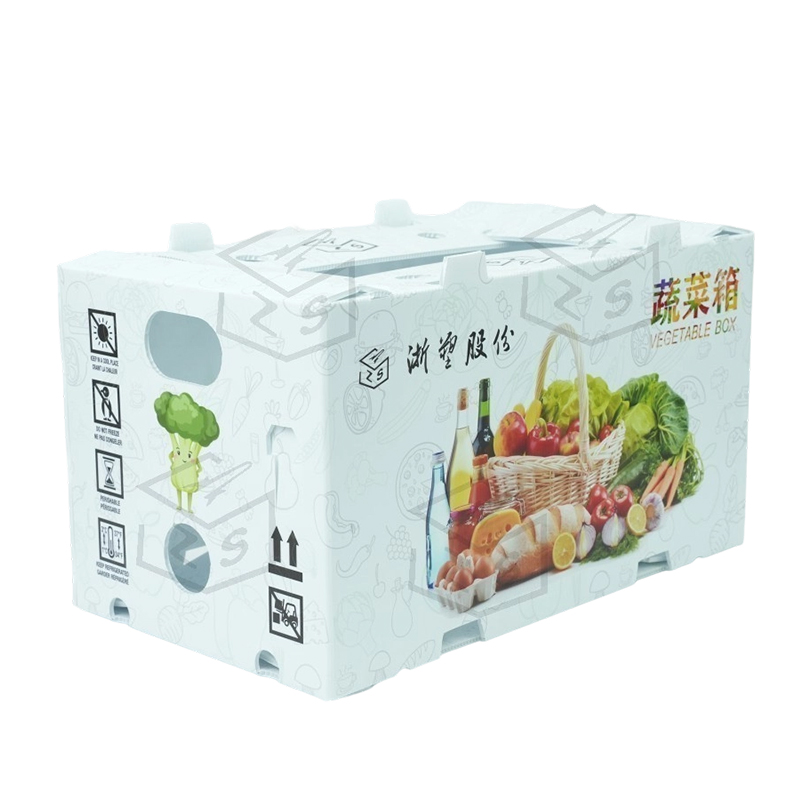 Reusable IMPERVIUS PP Corflute Fructus Box