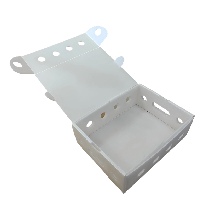 Stackable ventilari PP cavum Sheet Packaging Box