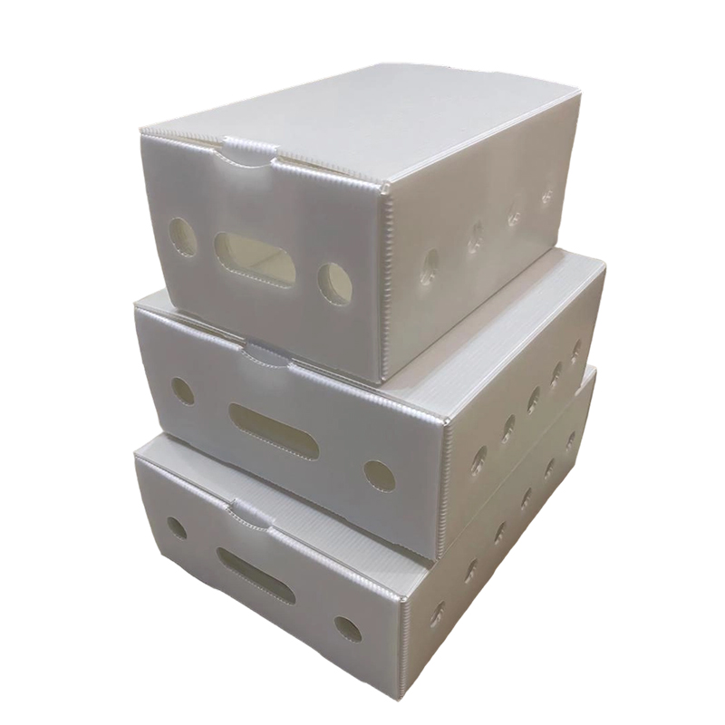 Stackable ventilari PP cavum Sheet Packaging Box