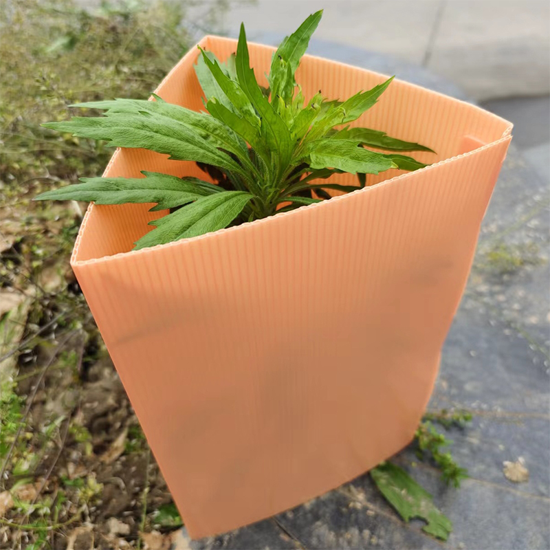 UV Stabilized Corrugated Plastic Arbor Custodes
