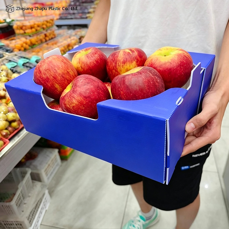 Foldable Typis PP Corrugated Box pro Vegetabili & Fructo