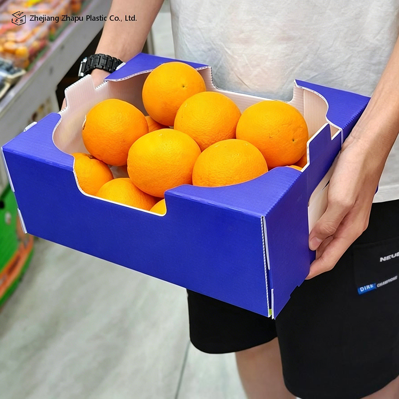 Foldable Typis PP Corrugated Box pro Vegetabili & Fructo
