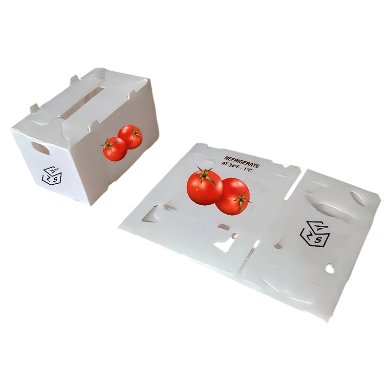 Ventilata Custom Printed PP Corrugated Plastic Fructus & Vegetabilis Box